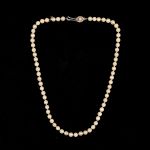 981 6491 PEARL NECKLACE